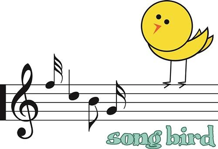 Song Bird