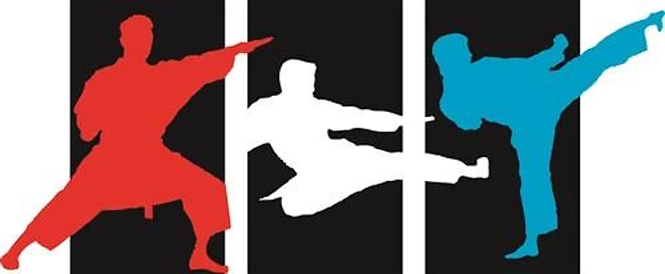 Martial Arts Kicks
