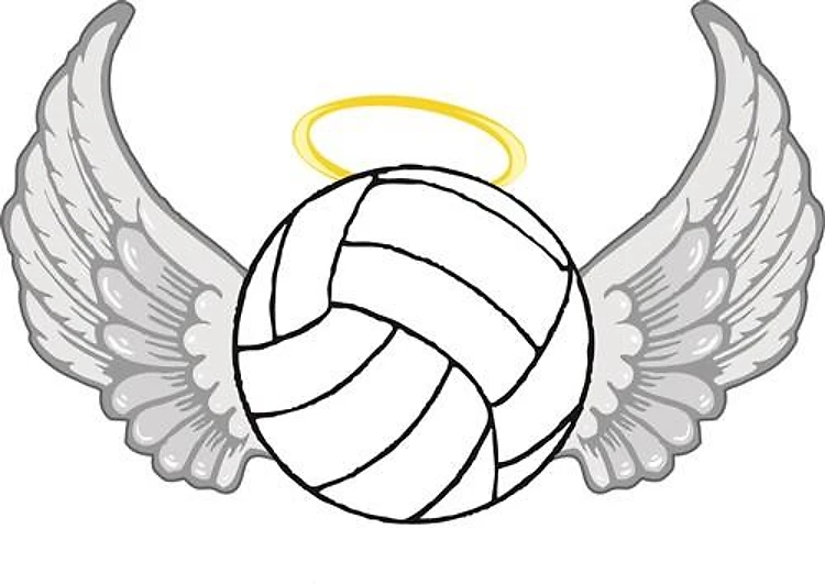 Volleyball Angel