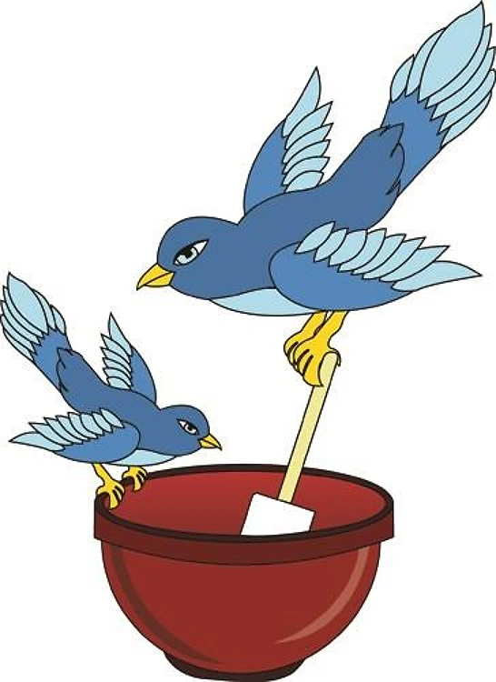 Blue Bird Tuesday