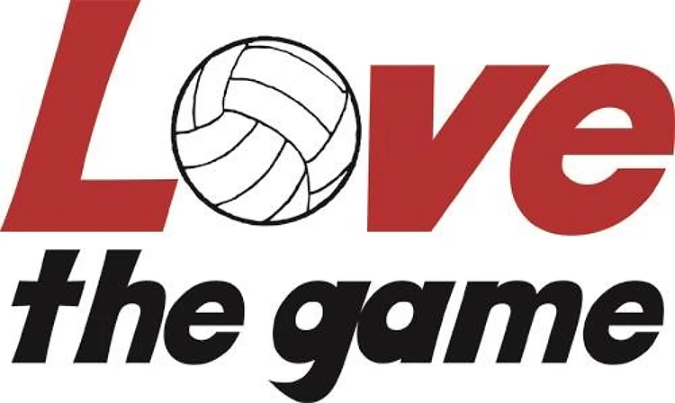 Love The Game
