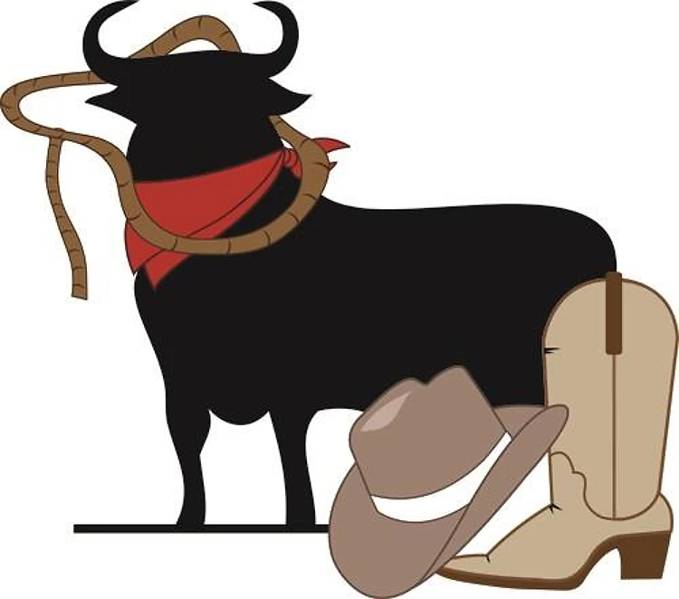 Bull Rider