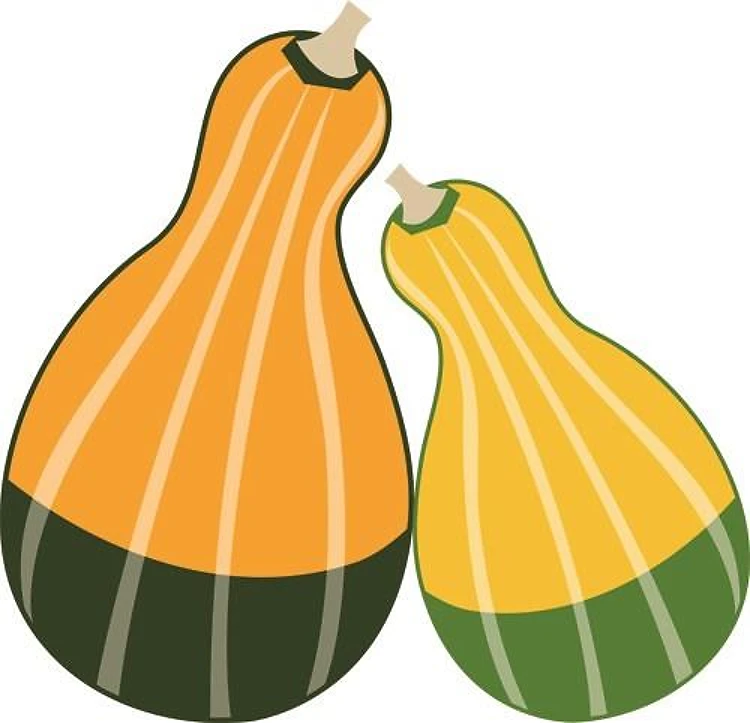 Gourds