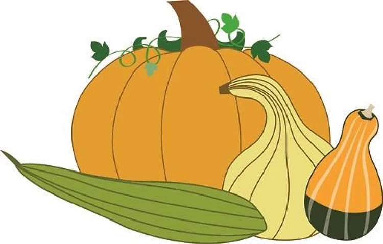 Gourds