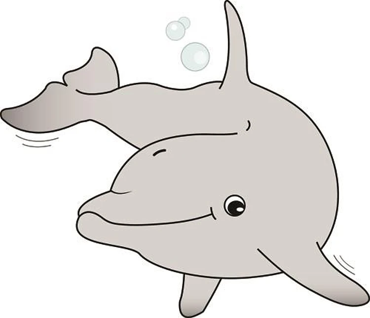 Dolphin