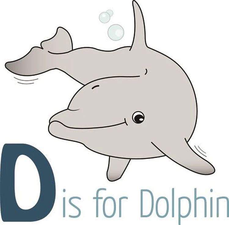 D Is For Dolphin