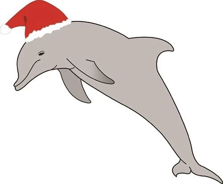 Santa Dolphin