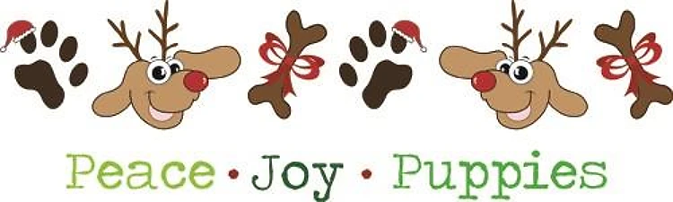 Puppies