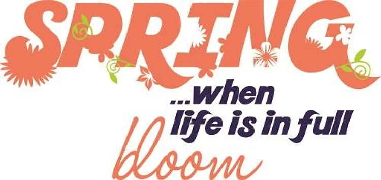 In Full Bloom