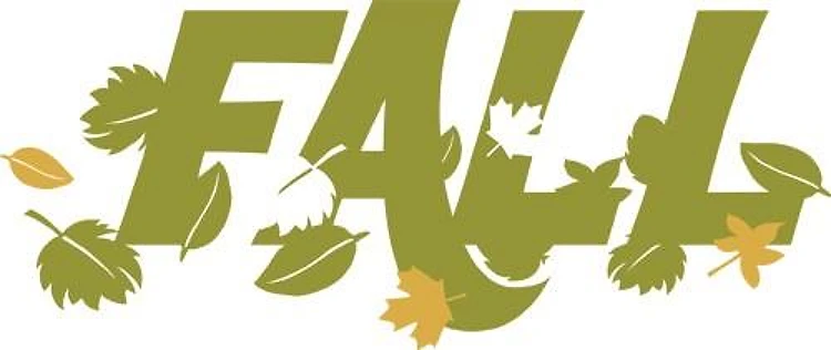 Fall