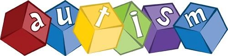 Autism Blocks