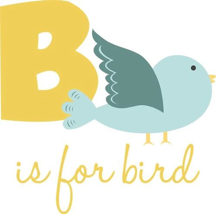 B Is For Bird