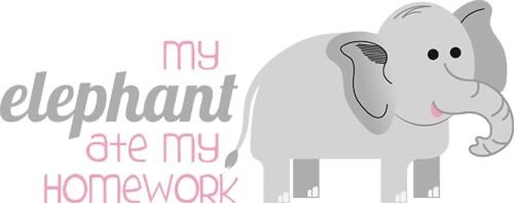 My Elephant