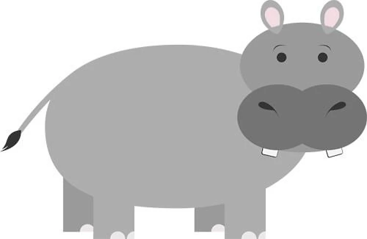 Hippopotamus