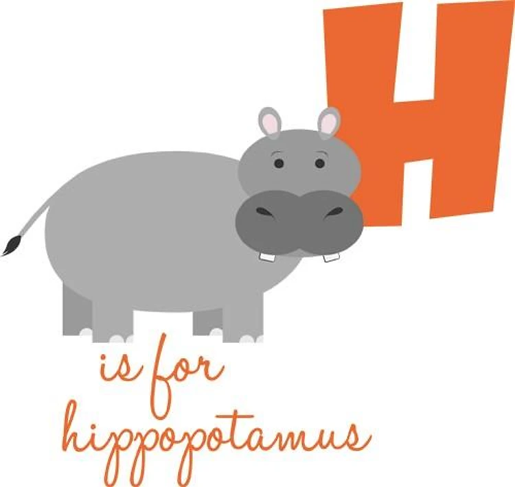 H Is For Hippopotamus