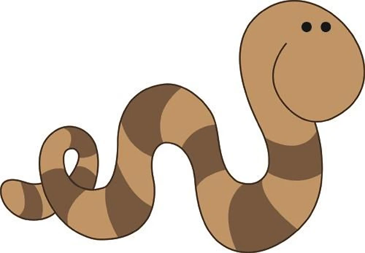 Inchworm