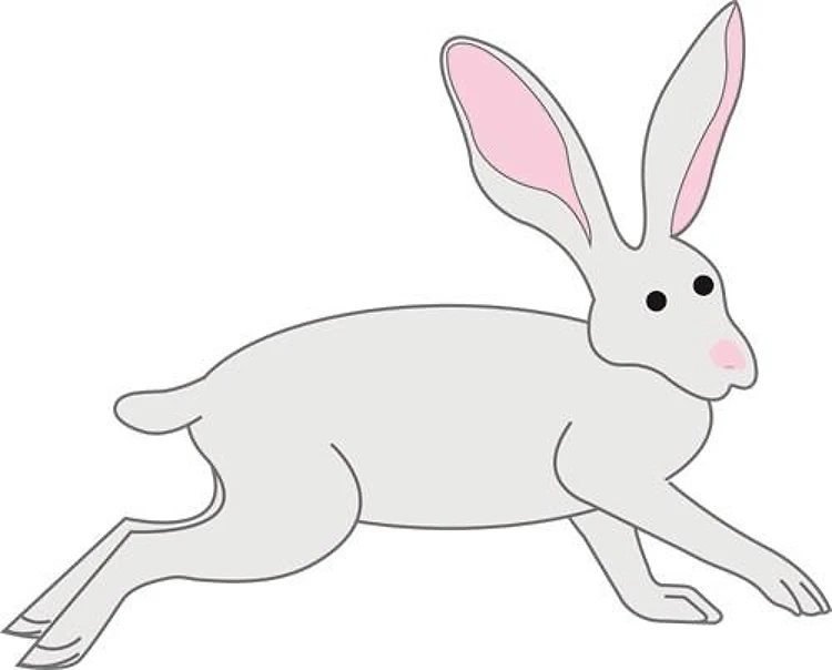 Jackrabbit
