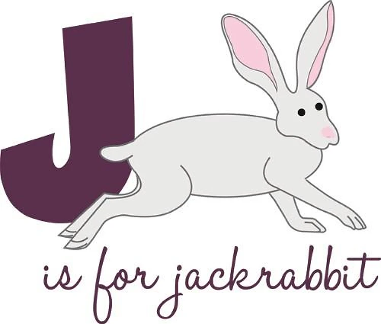J Is For Jackrabbit