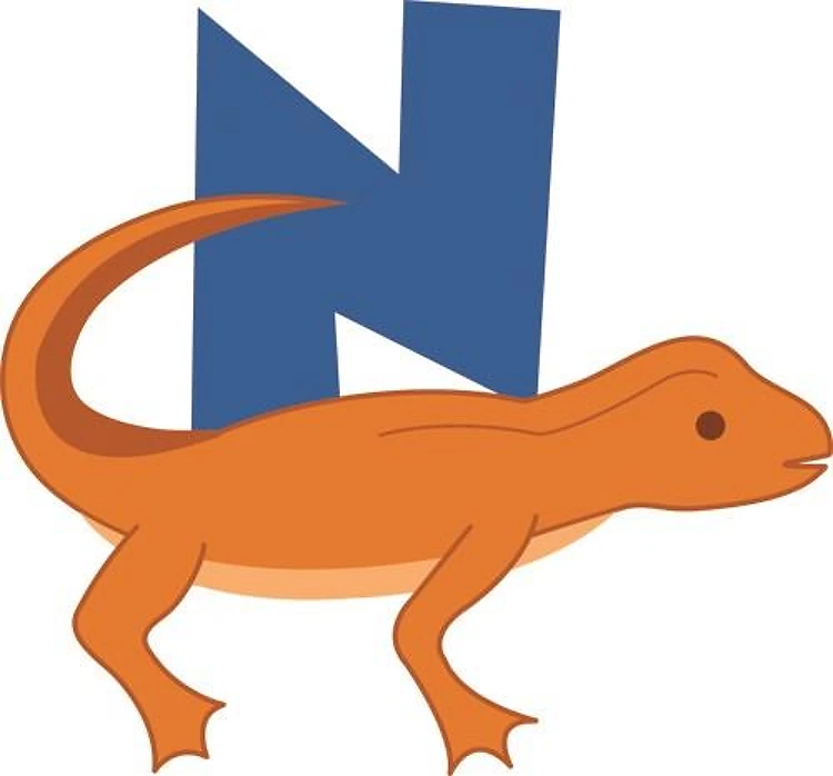 Newt