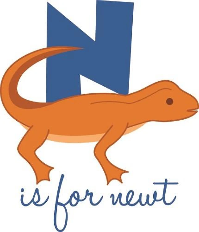 N Is For Newt