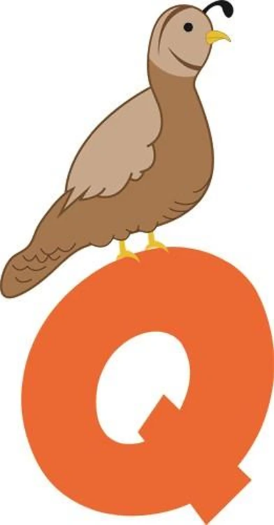 Quail