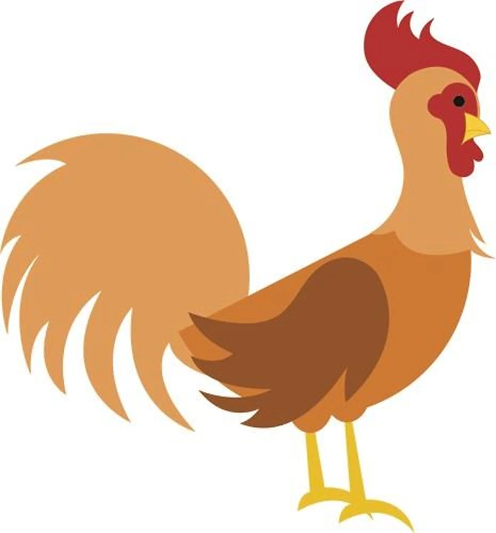 Rooster