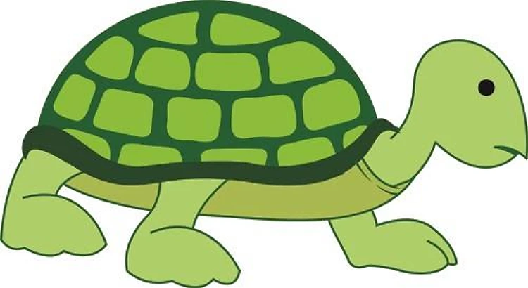 Turtle