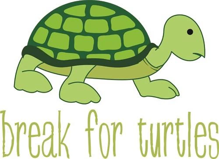 Break For Turtles