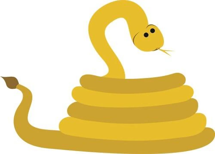Viper Snake