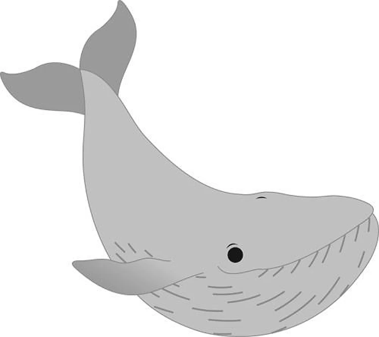 Whale