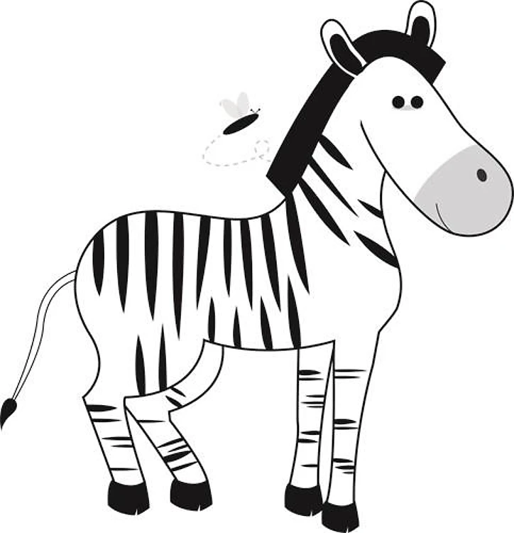 Zebra