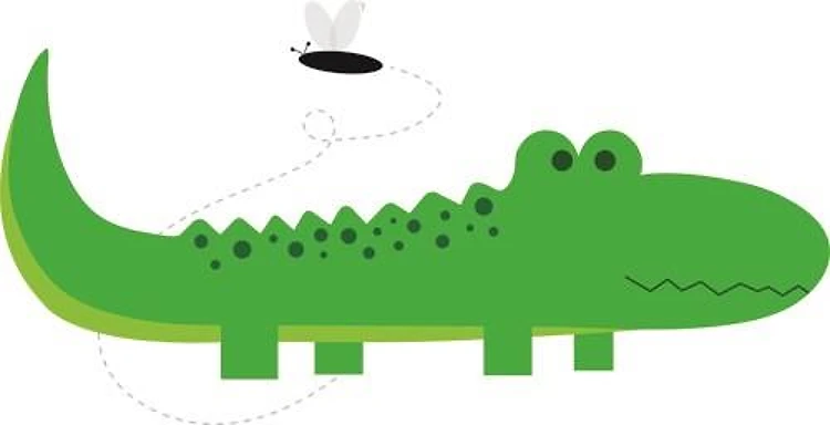 Alligator