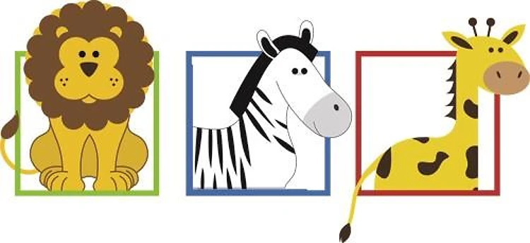 Animals