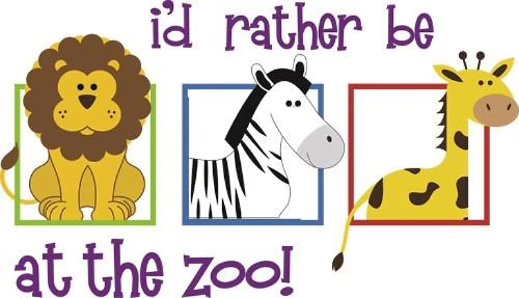 At The Zoo