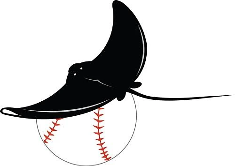 Tampa Bay Rays