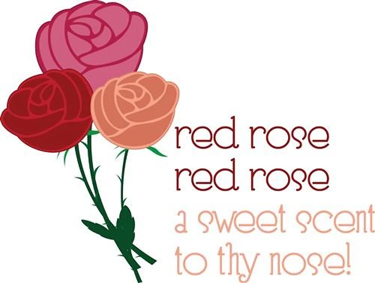 Red Rose