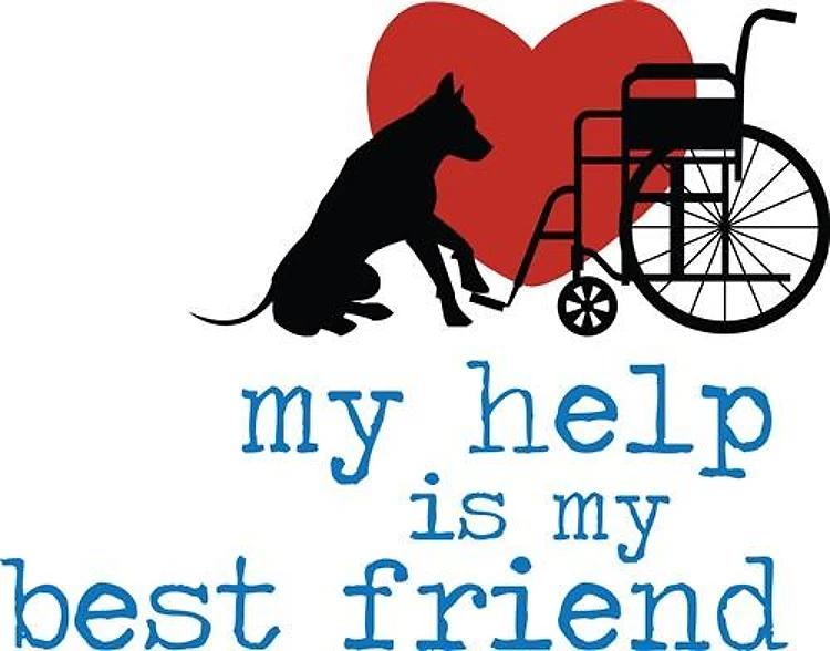 My Best Friend