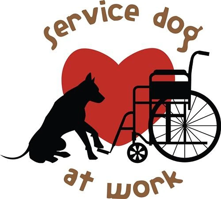 Service Dog