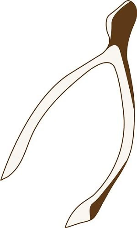 Wishbone