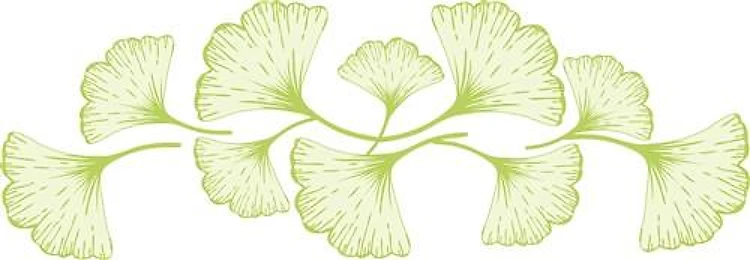 Ginko Leaves