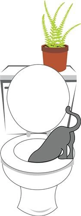 Cat In Potty
