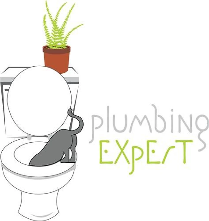 Plumbing Expert