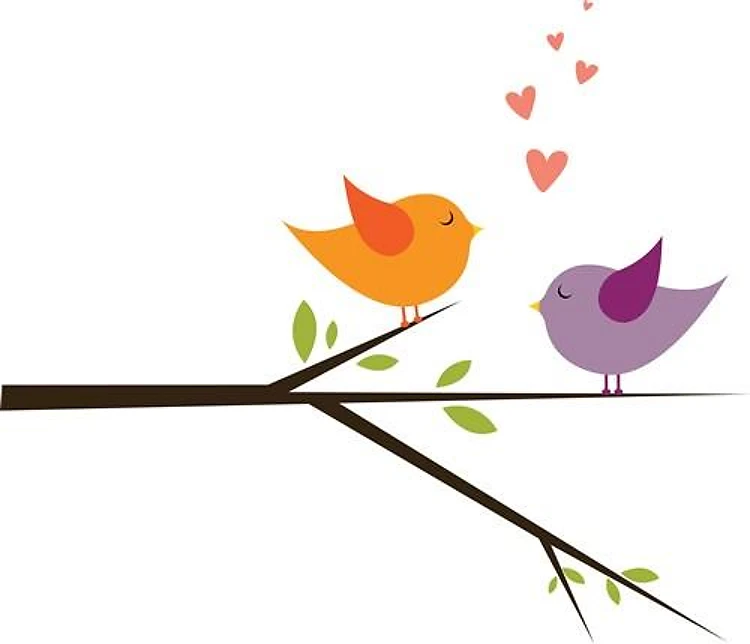 Love Birds In Tree