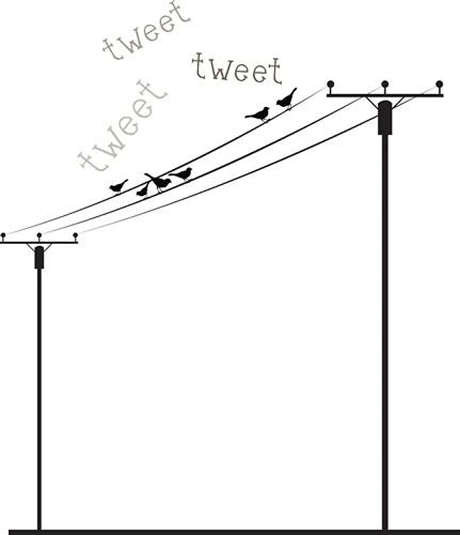 Tweet