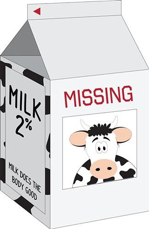 Milk Carton