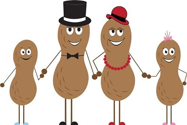 Peanut Family