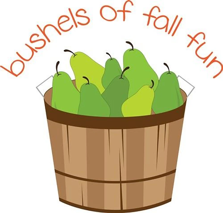 Fall Fun