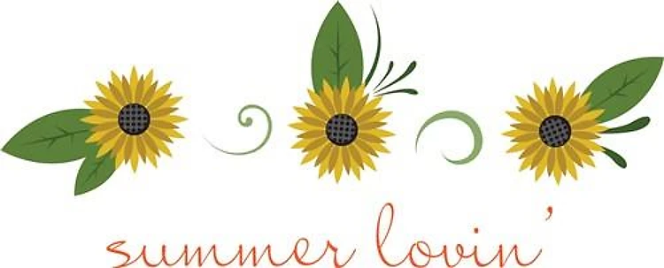 Summer Lovin