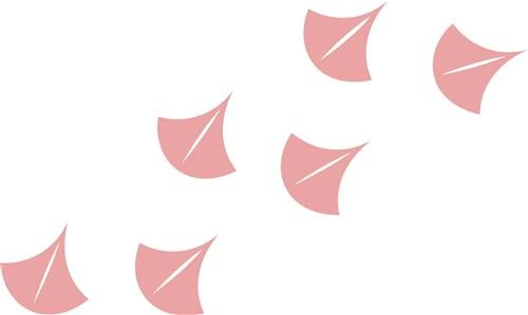 Flamingo Footprints