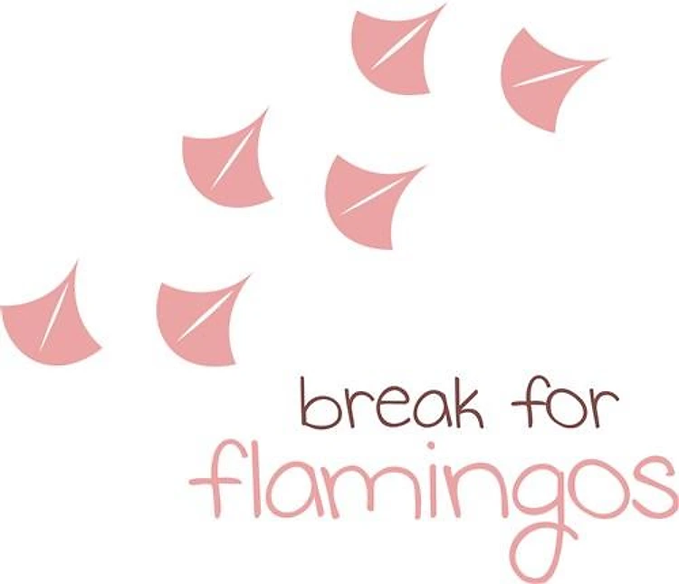 Break For Flamingos